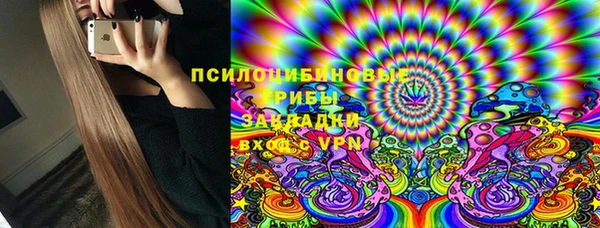 стафф Алзамай
