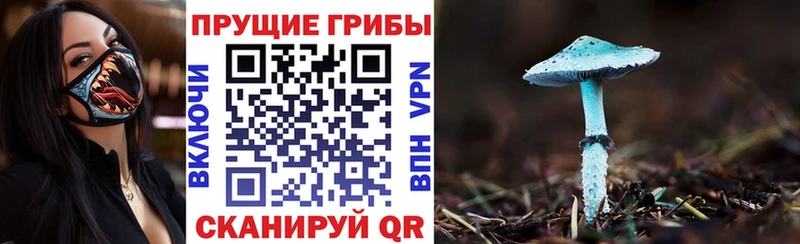 Псилоцибиновые грибы прущие грибы Каменка
