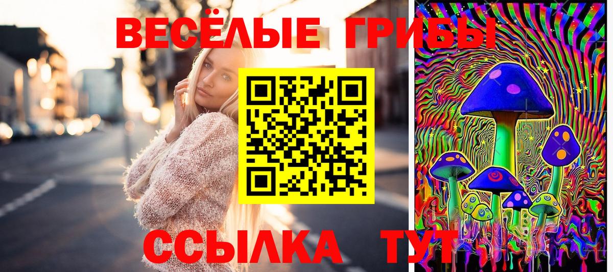 Галлюциногенные грибы ЛСД Каменка